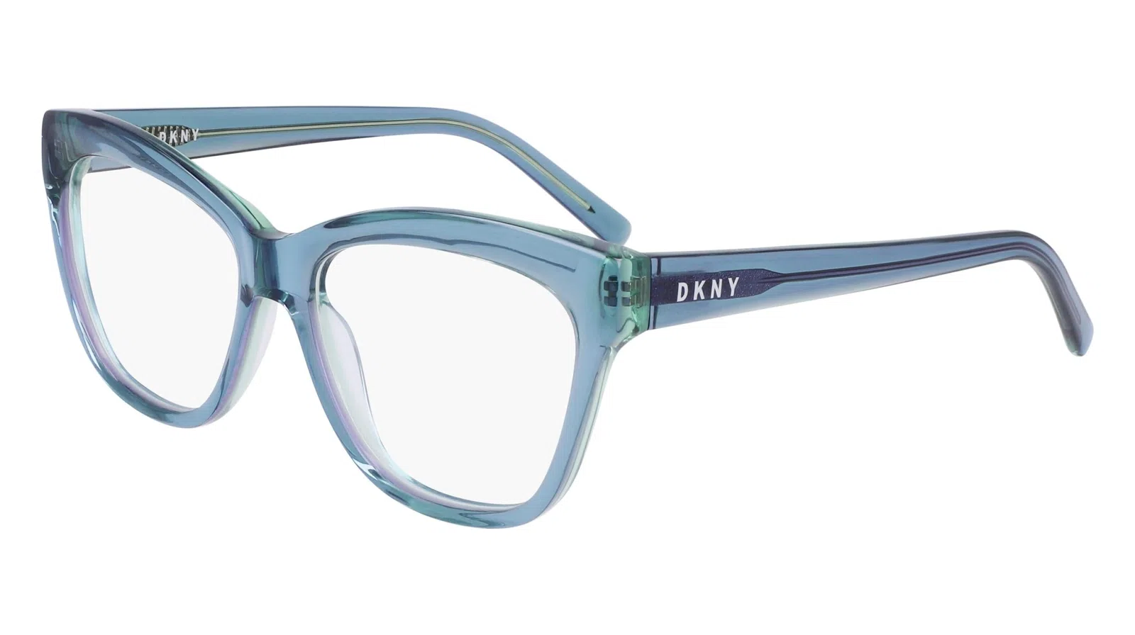 DKNY DK5049 Eyeglasses - view 4